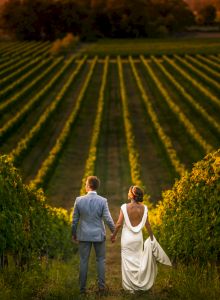 A couple in wedding attire holds hands, walking through a vineyard, with rows of grapevines stretching into the distance at sunset.