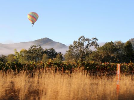 A hot air balloon floats above a grassy field with trees and distant hills under a clear blue sky.